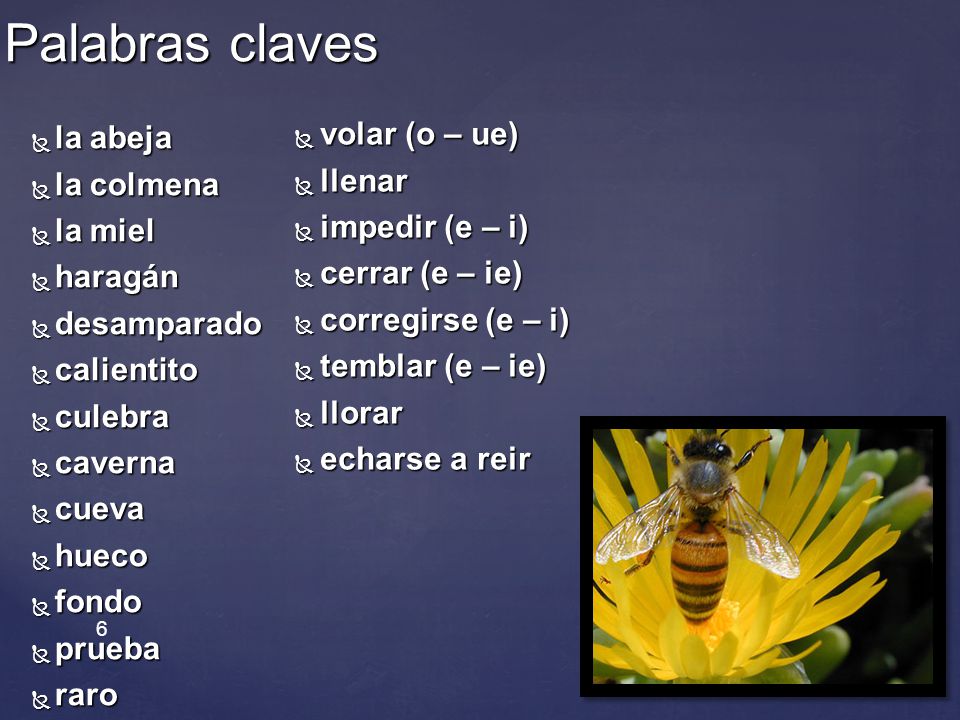 Palabras claves la abeja volar (o – ue) la colmena llenar la miel