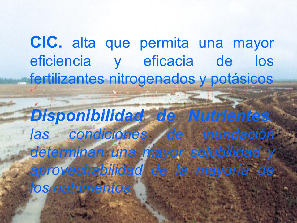 CIC. alta que permita una mayor eficiencia y eficacia de los fertilizantes nitrogenados y potásicos
