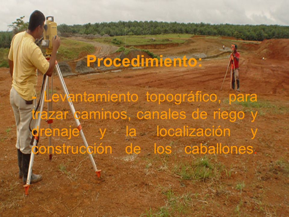 Procedimiento: - Levantamiento topográfico, para trazar caminos, canales de riego y drenaje y la localización y construcción de los caballones.
