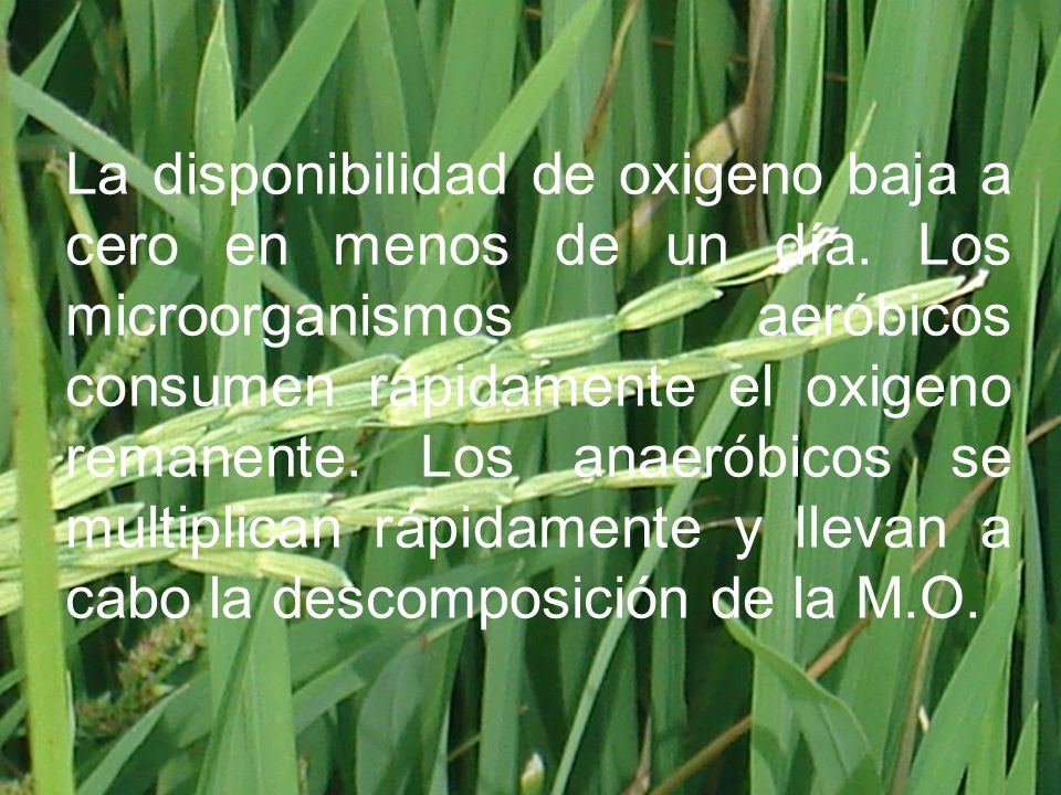La disponibilidad de oxigeno baja a cero en menos de un día