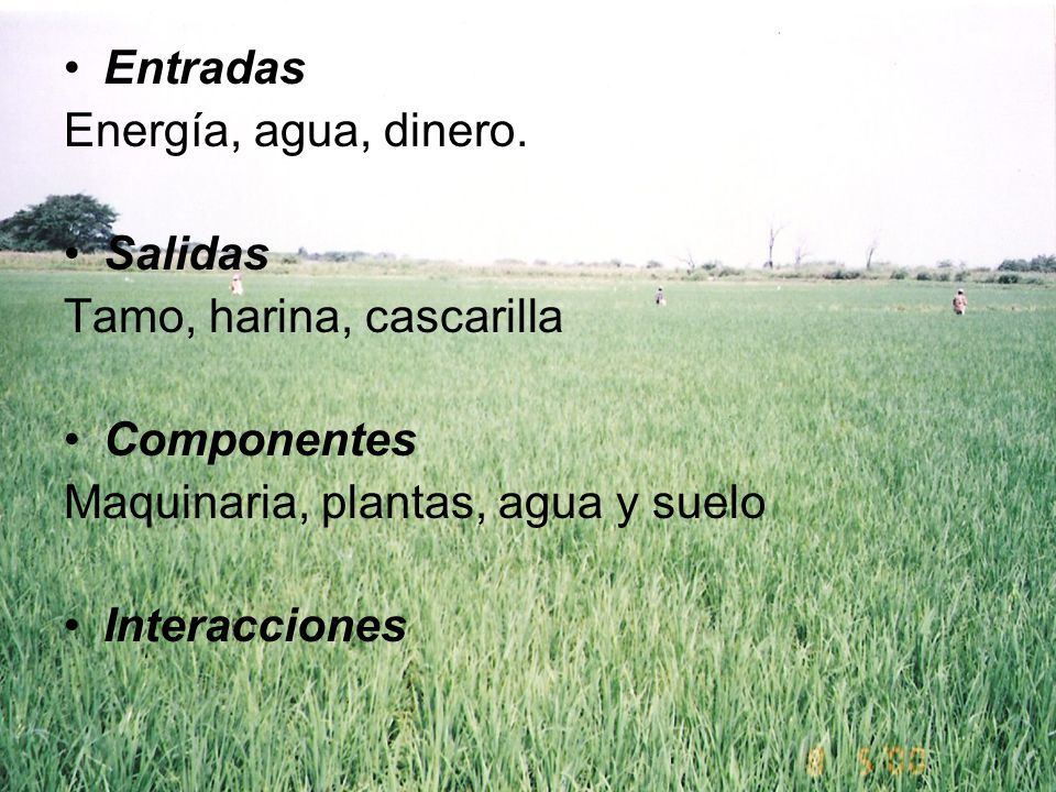 Entradas Energía, agua, dinero. Salidas. Tamo, harina, cascarilla. Componentes. Maquinaria, plantas, agua y suelo.