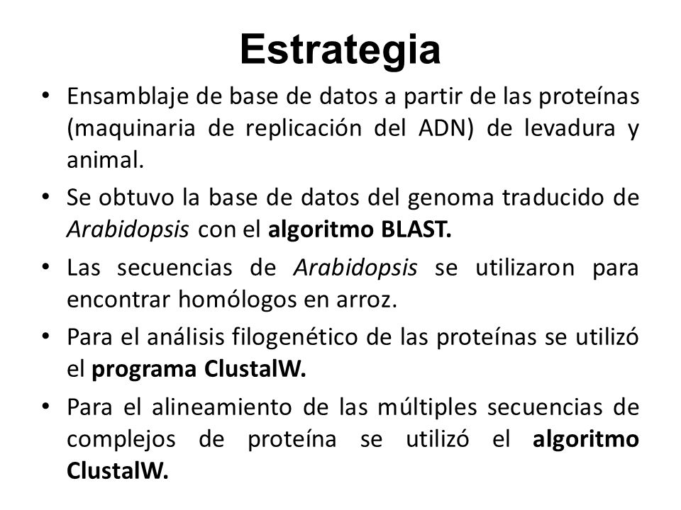Estrategia Ensamblaje de base de datos a partir de las proteínas (maquinaria de replicación del ADN) de levadura y animal.