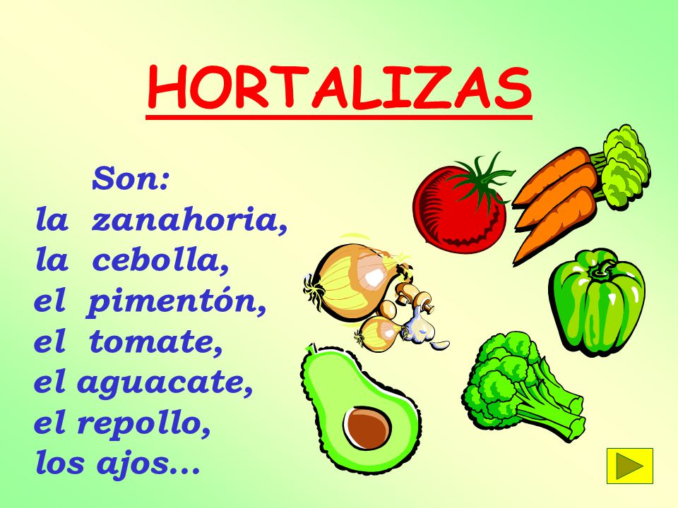 HORTALIZAS Son: la zanahoria, la cebolla, el pimentón, el tomate, el aguacate, el repollo, los ajos...