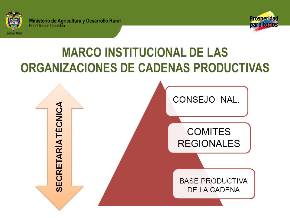 MARCO INSTITUCIONAL DE LAS ORGANIZACIONES DE CADENAS PRODUCTIVAS