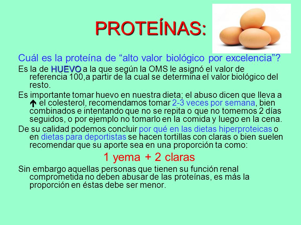 PROTEÍNAS: Cuál es la proteína de alto valor biológico por excelencia