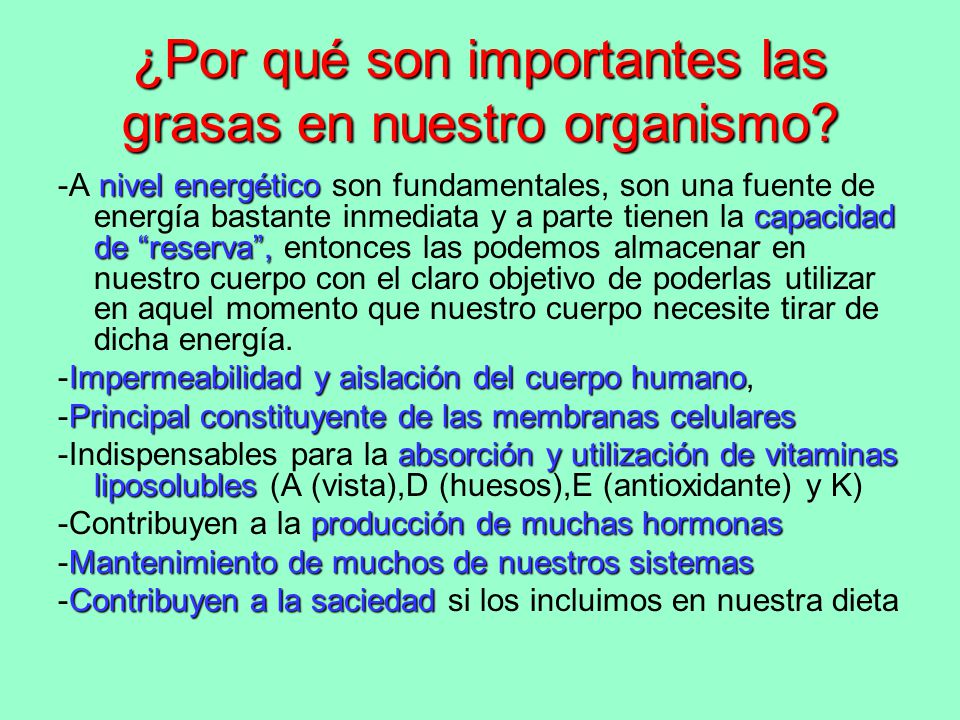 ¿Por qué son importantes las grasas en nuestro organismo