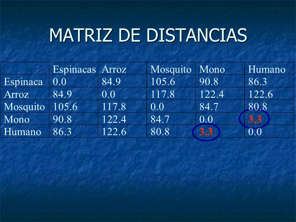 MATRIZ DE DISTANCIAS Espinacas Arroz Mosquito Mono Humano Espinaca 0.0
