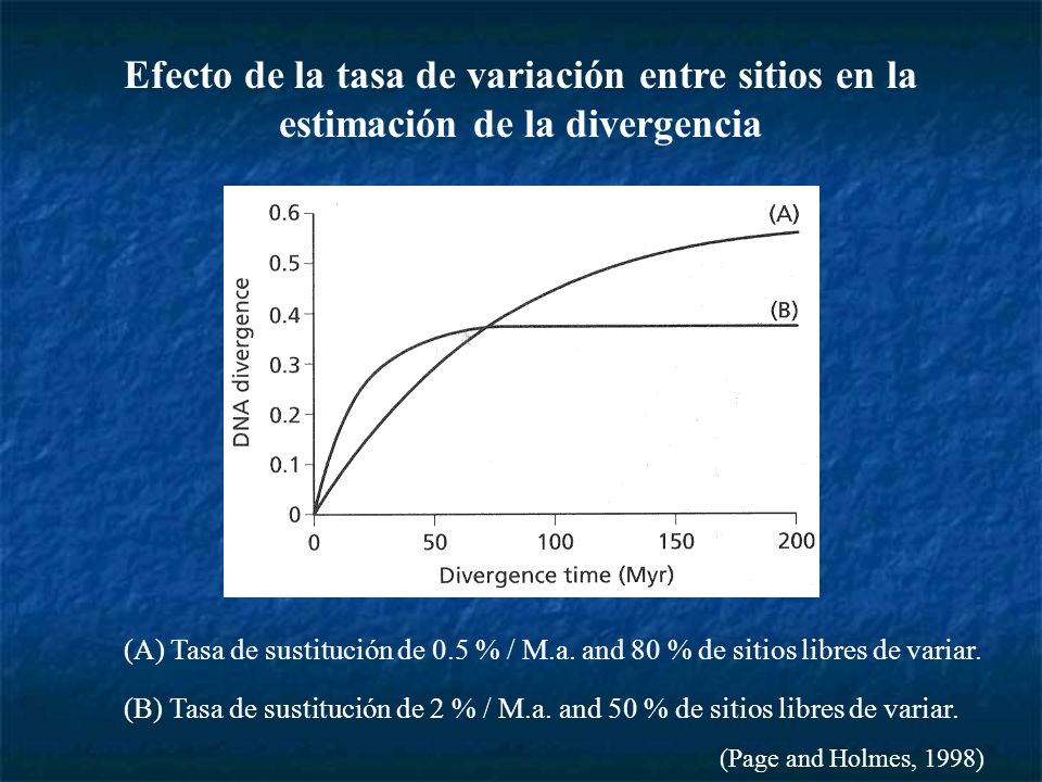 Efecto de la tasa de variación entre sitios en la estimación de la divergencia