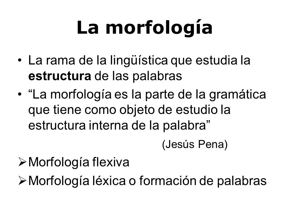 La morfología La rama de la lingüística que estudia la estructura de las palabras.