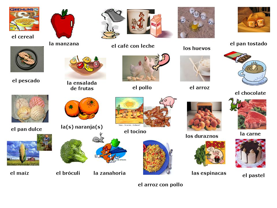 el cereal la manzana. el pan tostado. el café con leche. los huevos. el pescado. la ensalada. de frutas.