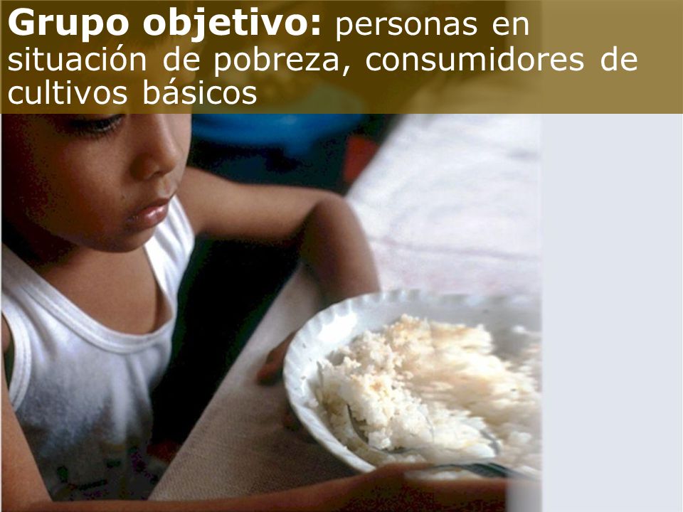 Grupo objetivo: personas en situación de pobreza, consumidores de cultivos básicos