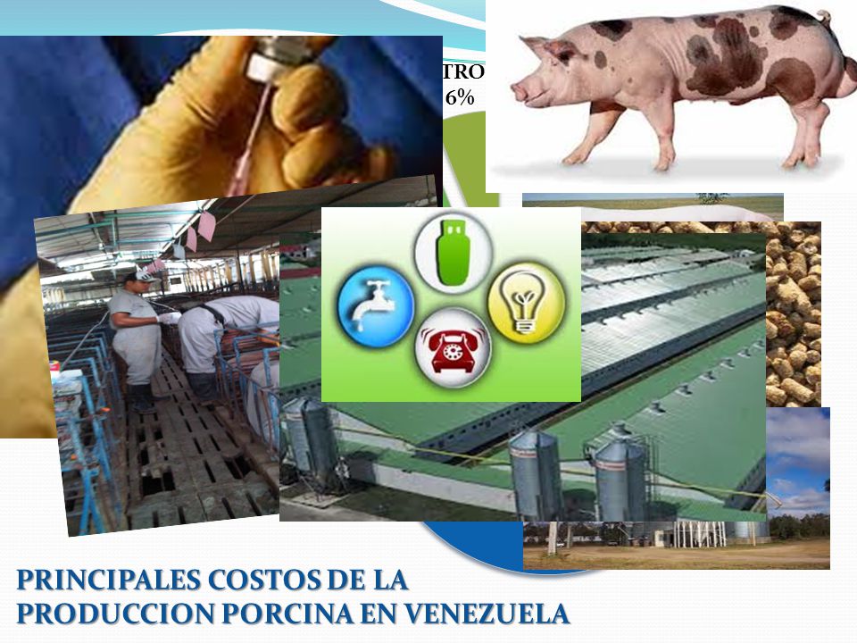 PRINCIPALES COSTOS DE LA