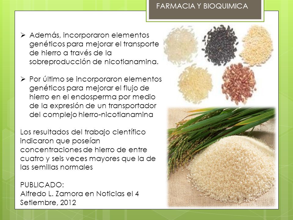 FARMACIA Y BIOQUIMICA Además, incorporaron elementos genéticos para mejorar el transporte de hierro a través de la sobreproducción de nicotianamina.