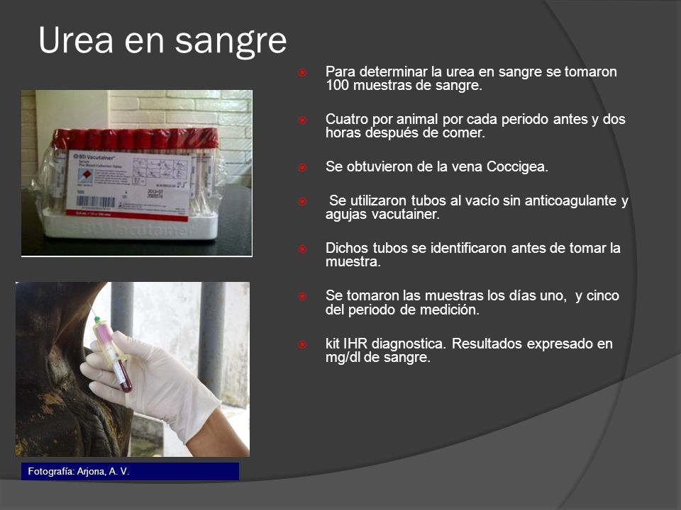 Urea en sangre Para determinar la urea en sangre se tomaron 100 muestras de sangre.