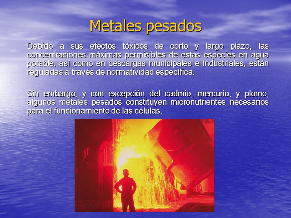 Metales pesados