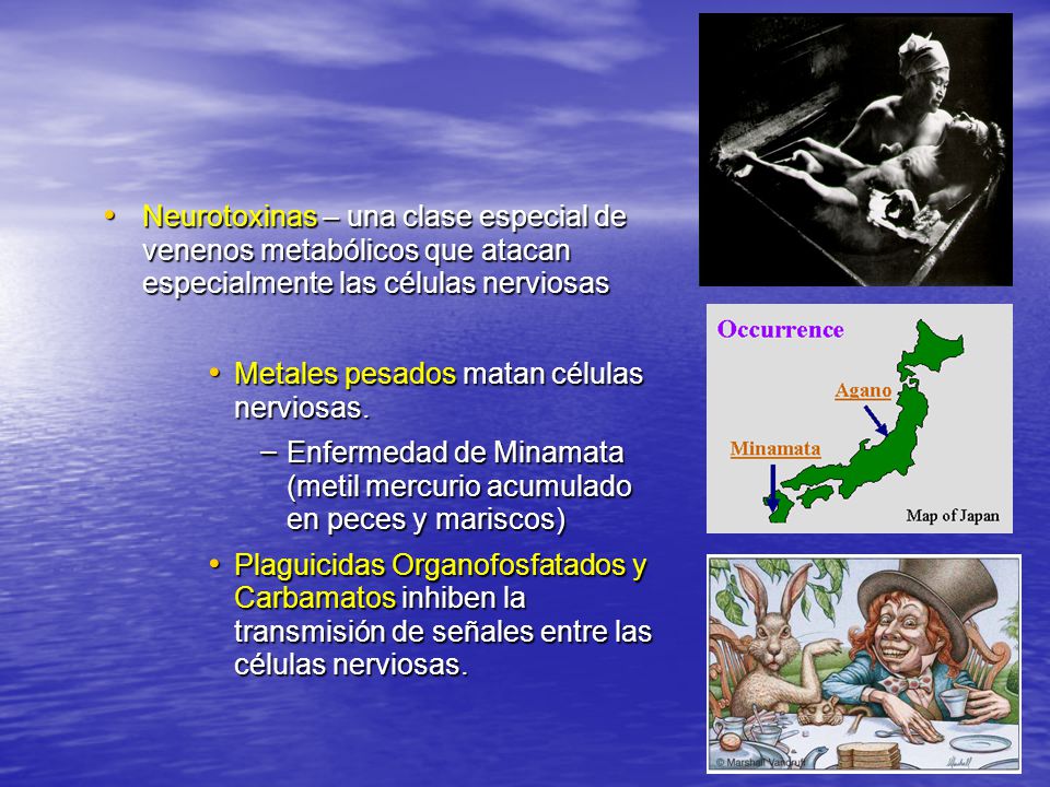 Neurotoxinas – una clase especial de venenos metabólicos que atacan especialmente las células nerviosas