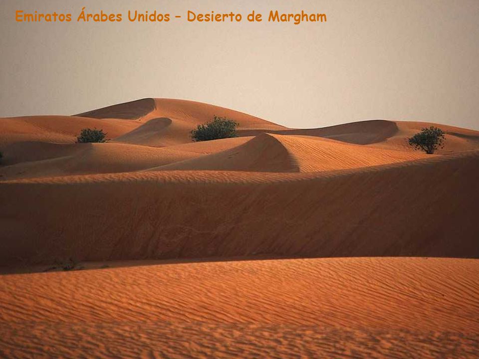 Emiratos Árabes Unidos – Desierto de Margham
