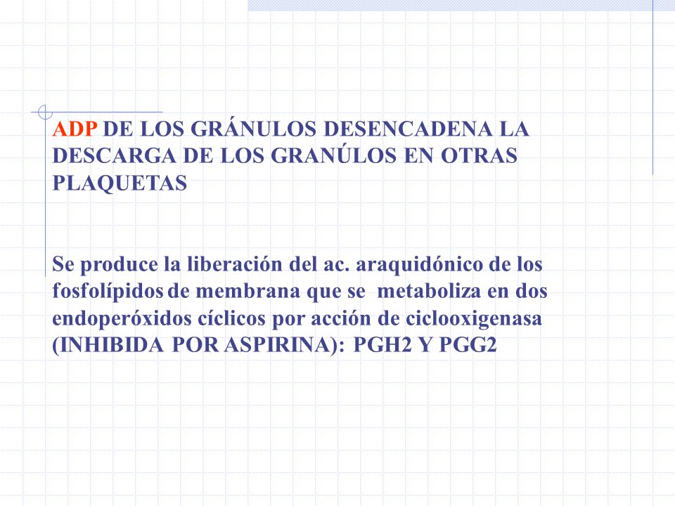 ADP DE LOS GRÁNULOS DESENCADENA LA DESCARGA DE LOS GRANÚLOS EN OTRAS PLAQUETAS
