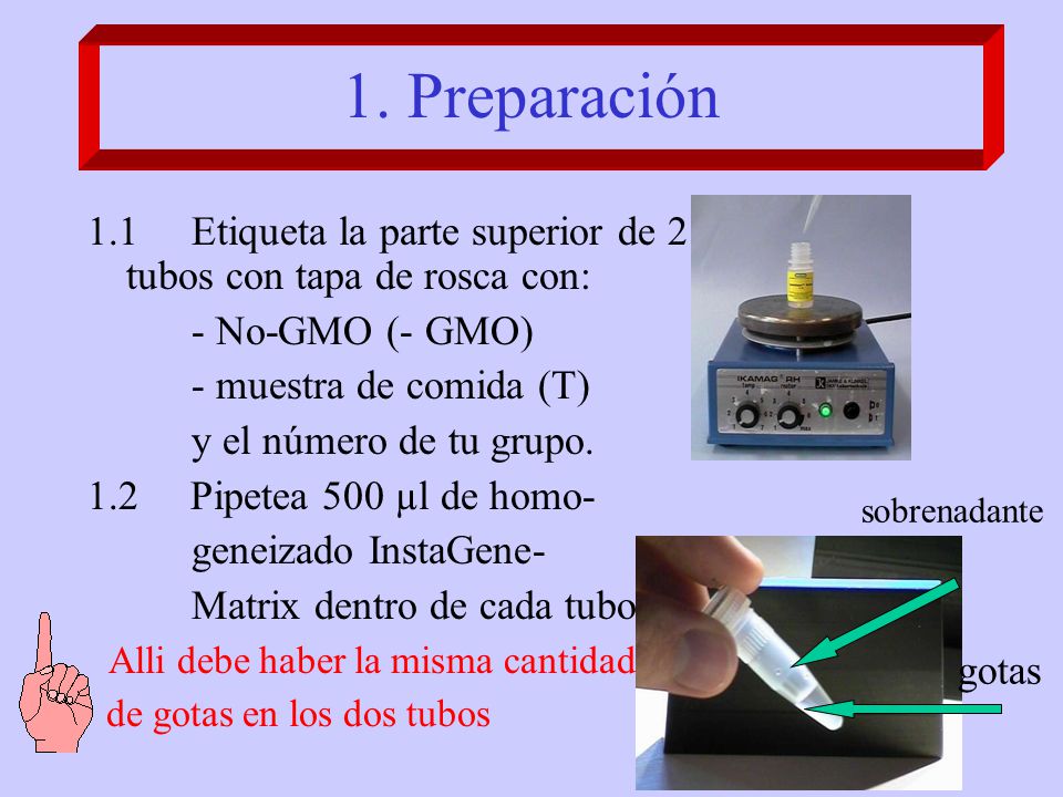 1. Preparación 1.1 Etiqueta la parte superior de 2 tubos con tapa de rosca con: - No-GMO (- GMO)