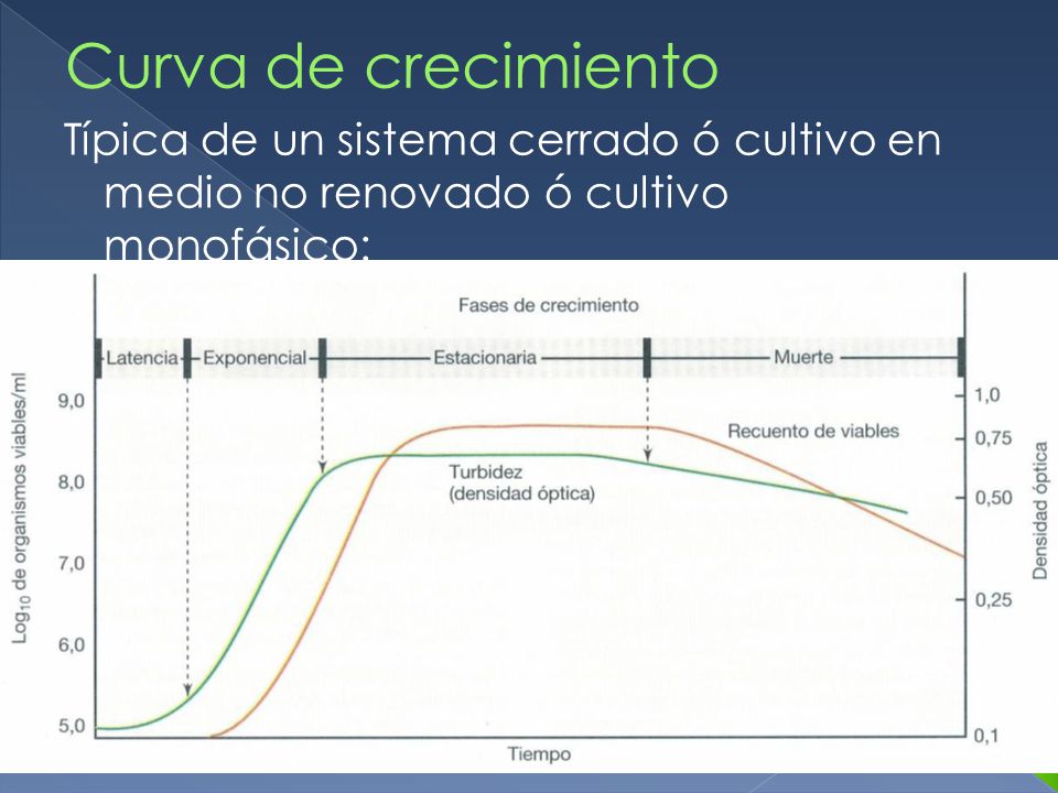 Curva de crecimiento Típica de un sistema cerrado ó cultivo en medio no renovado ó cultivo monofásico: