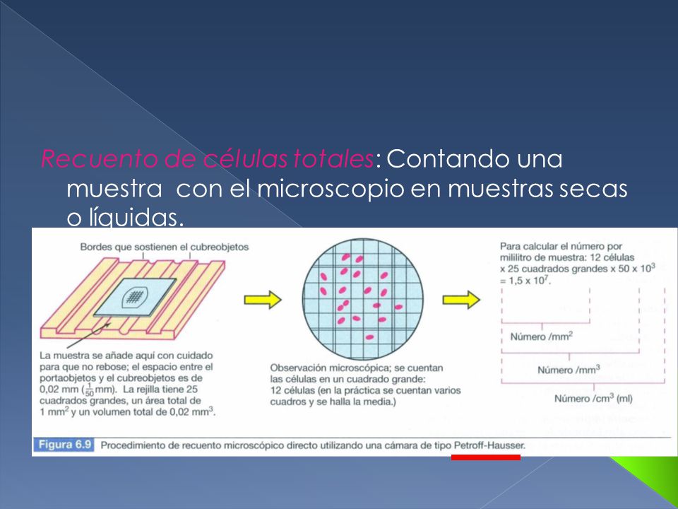 Recuento de células totales: Contando una muestra con el microscopio en muestras secas o líquidas.