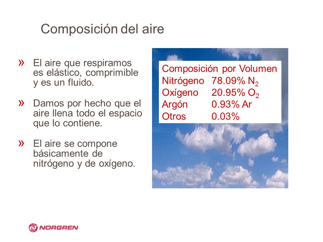 Composición del aire El aire que respiramos es elástico, comprimible y es un fluido.