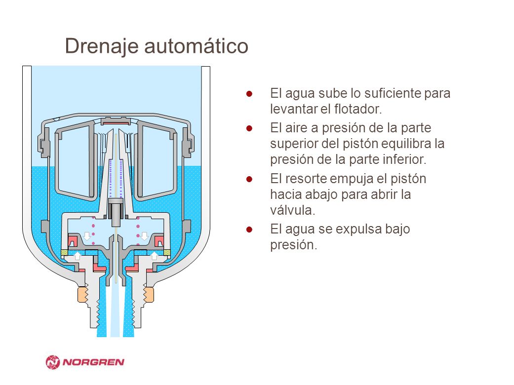 Drenaje automático El agua sube lo suficiente para levantar el flotador.