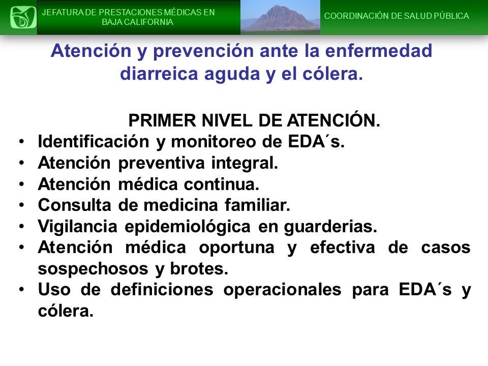 Atención y prevención ante la enfermedad diarreica aguda y el cólera.