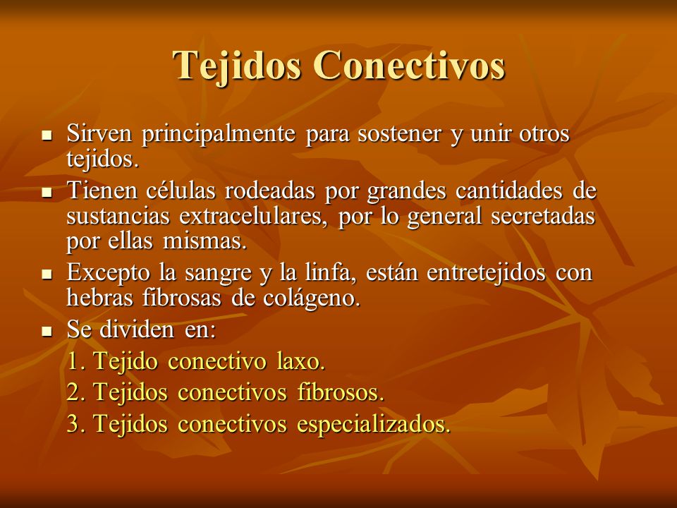 Tejidos Conectivos Sirven principalmente para sostener y unir otros tejidos.