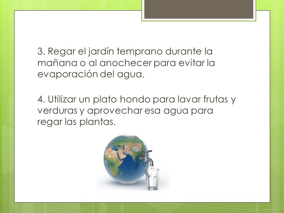 3. Regar el jardín temprano durante la mañana o al anochecer para evitar la evaporación del agua.