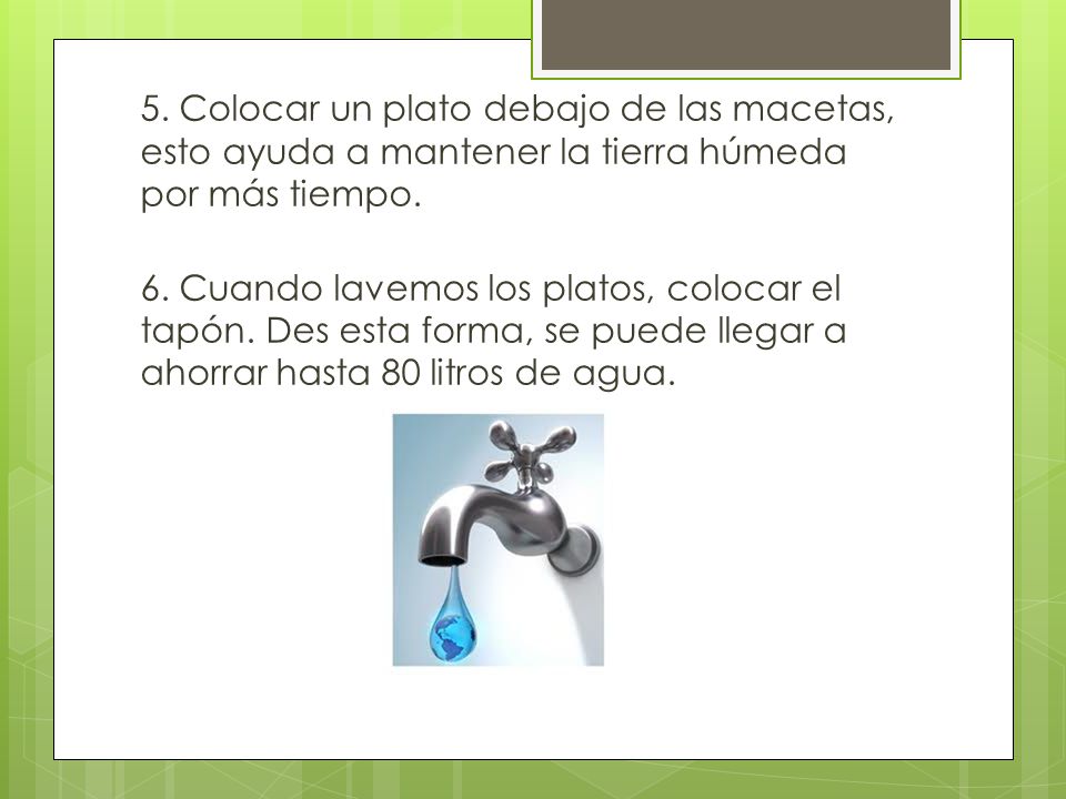 5. Colocar un plato debajo de las macetas, esto ayuda a mantener la tierra húmeda por más tiempo.