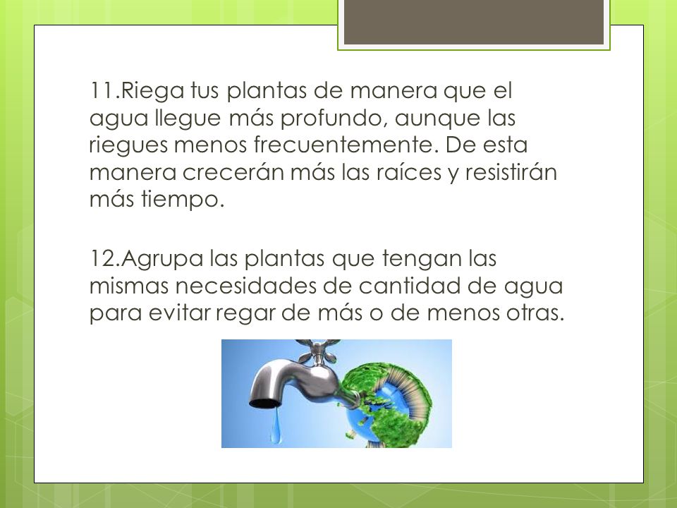 11.Riega tus plantas de manera que el agua llegue más profundo, aunque las riegues menos frecuentemente.