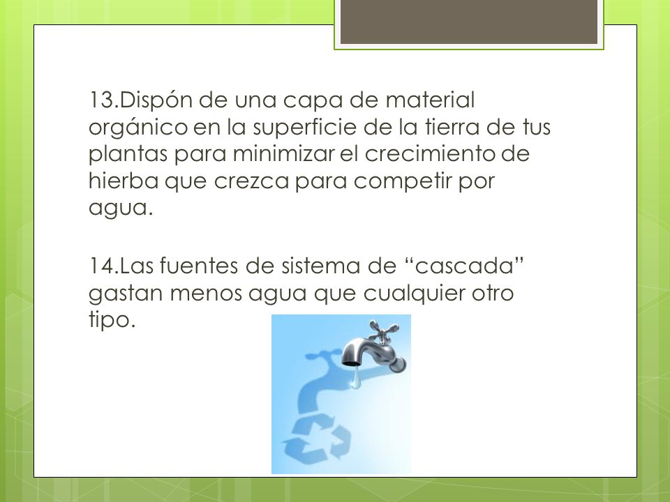 13.Dispón de una capa de material orgánico en la superficie de la tierra de tus plantas para minimizar el crecimiento de hierba que crezca para competir por agua.