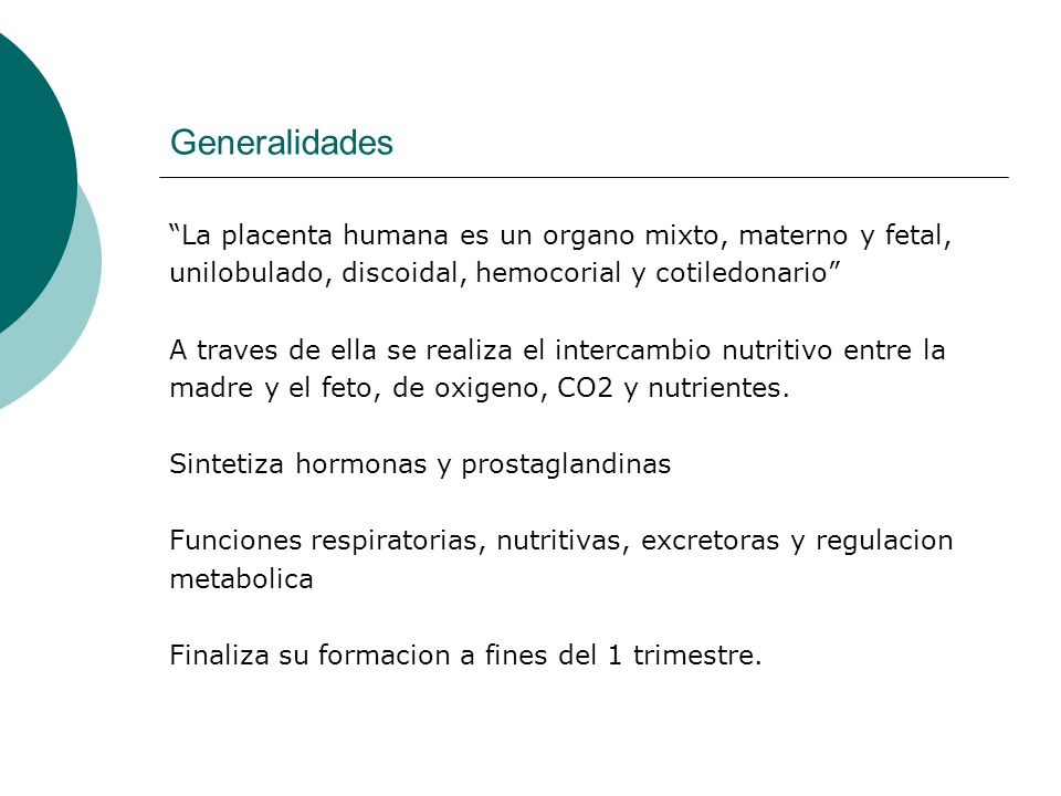Generalidades La placenta humana es un organo mixto, materno y fetal,