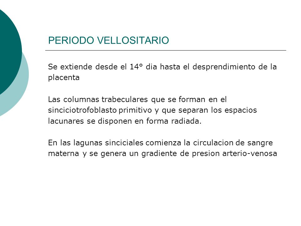 PERIODO VELLOSITARIO Se extiende desde el 14° dia hasta el desprendimiento de la. placenta. Las columnas trabeculares que se forman en el.