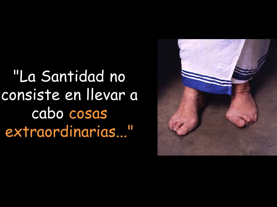 La Santidad no consiste en llevar a cabo cosas extraordinarias...