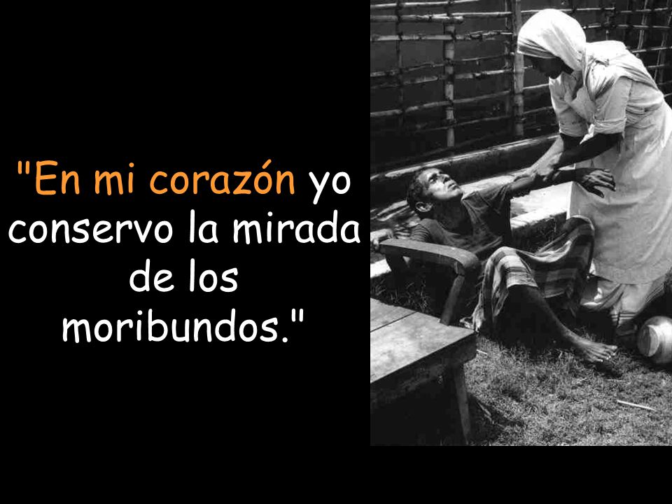 En mi corazón yo conservo la mirada de los moribundos.