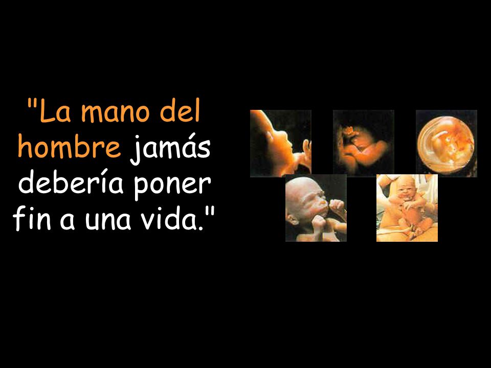 La mano del hombre jamás debería poner fin a una vida.
