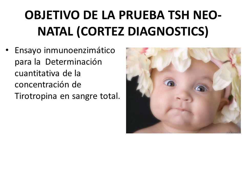 OBJETIVO DE LA PRUEBA TSH NEO-NATAL (CORTEZ DIAGNOSTICS)