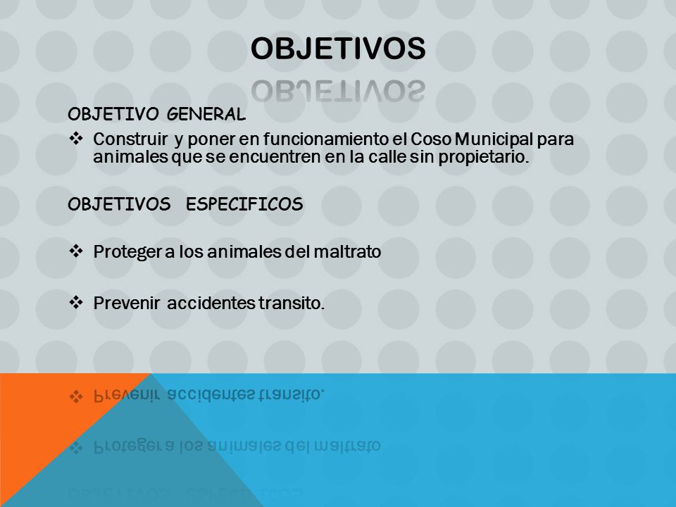 OBJETIVOS OBJETIVO GENERAL. Construir y poner en funcionamiento el Coso Municipal para animales que se encuentren en la calle sin propietario.