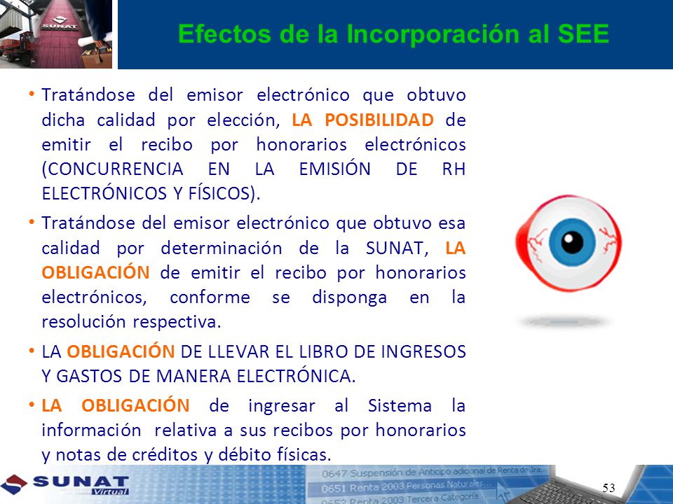 Efectos de la Incorporación al SEE