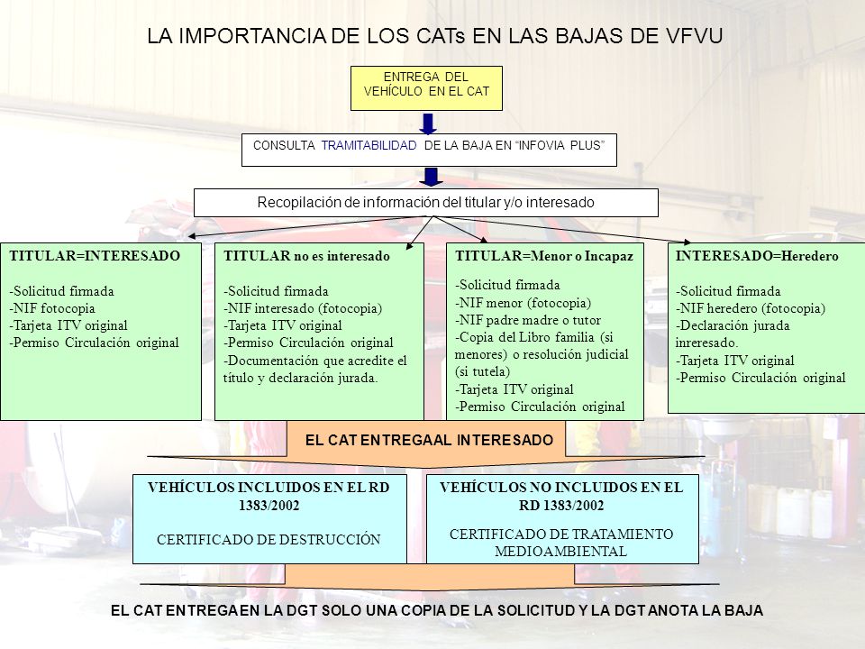 LA IMPORTANCIA DE LOS CATs EN LAS BAJAS DE VFVU