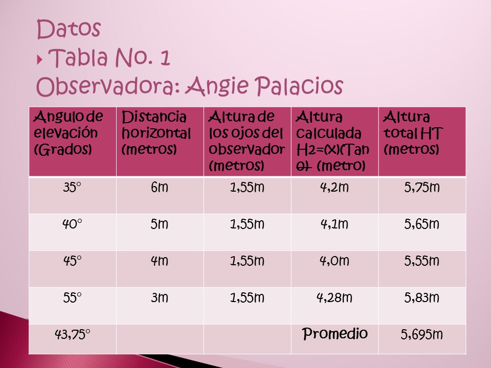 Observadora: Angie Palacios