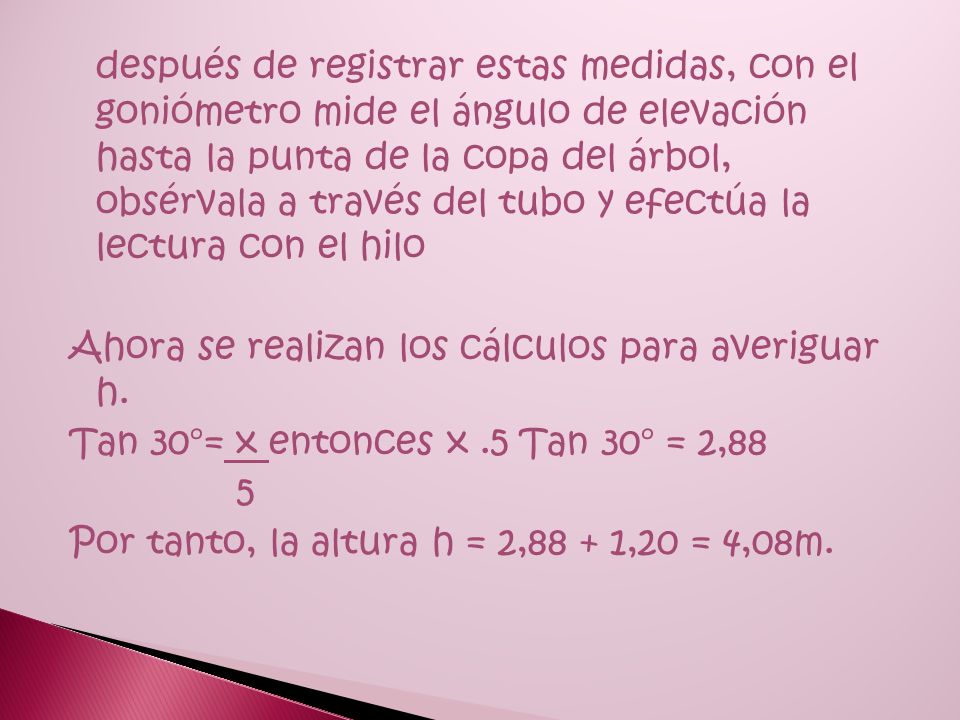 después de registrar estas medidas, con el goniómetro mide el ángulo de elevación hasta la punta de la copa del árbol, obsérvala a través del tubo y efectúa la lectura con el hilo