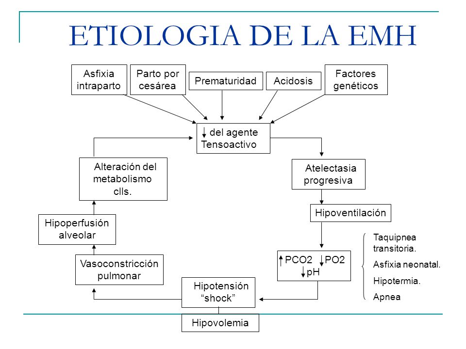 ETIOLOGIA DE LA EMH Asfixia intraparto Parto por cesárea