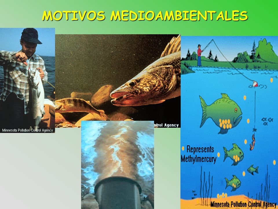 MOTIVOS MEDIOAMBIENTALES