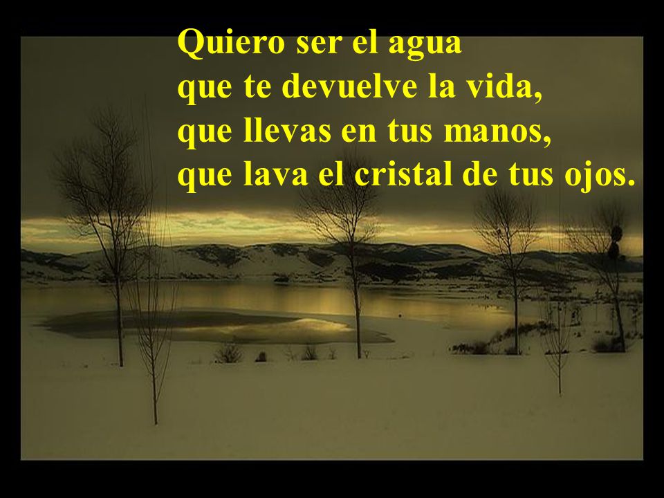 Quiero ser el agua que te devuelve la vida, que llevas en tus manos, que lava el cristal de tus ojos.