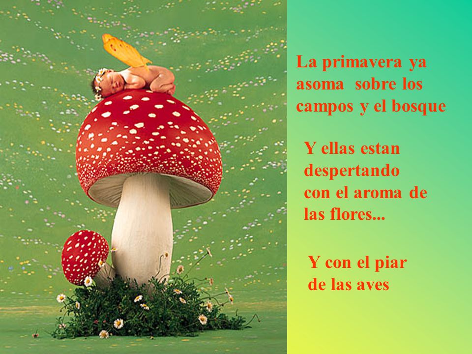 La primavera ya asoma sobre los campos y el bosque