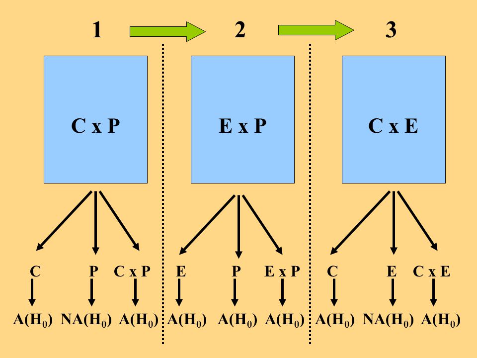 1 2 3 C x P E x P C x E C P C x P E P E x P C E C x E