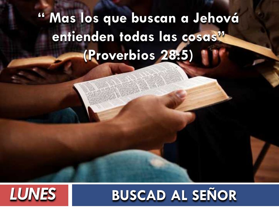 Mas los que buscan a Jehová entienden todas las cosas (Proverbios 28:5)